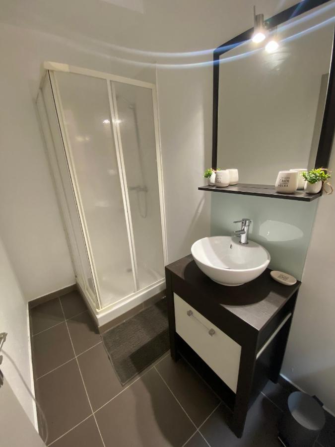 Апартаменты Le Patio St Etienne - Cite Episcopale - Parking Inclus Альби Экстерьер фото