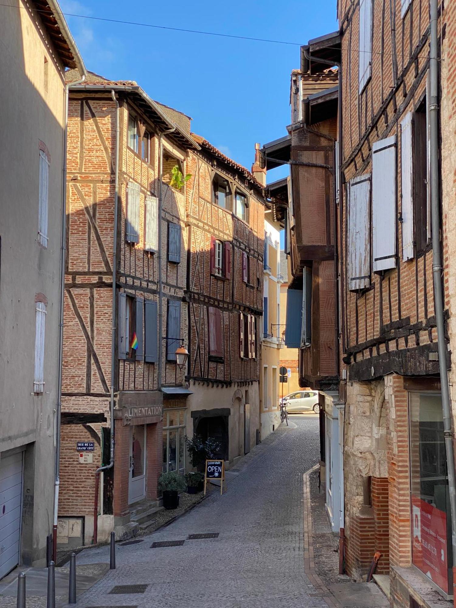 Апартаменты Le Patio St Etienne - Cite Episcopale - Parking Inclus Альби Экстерьер фото