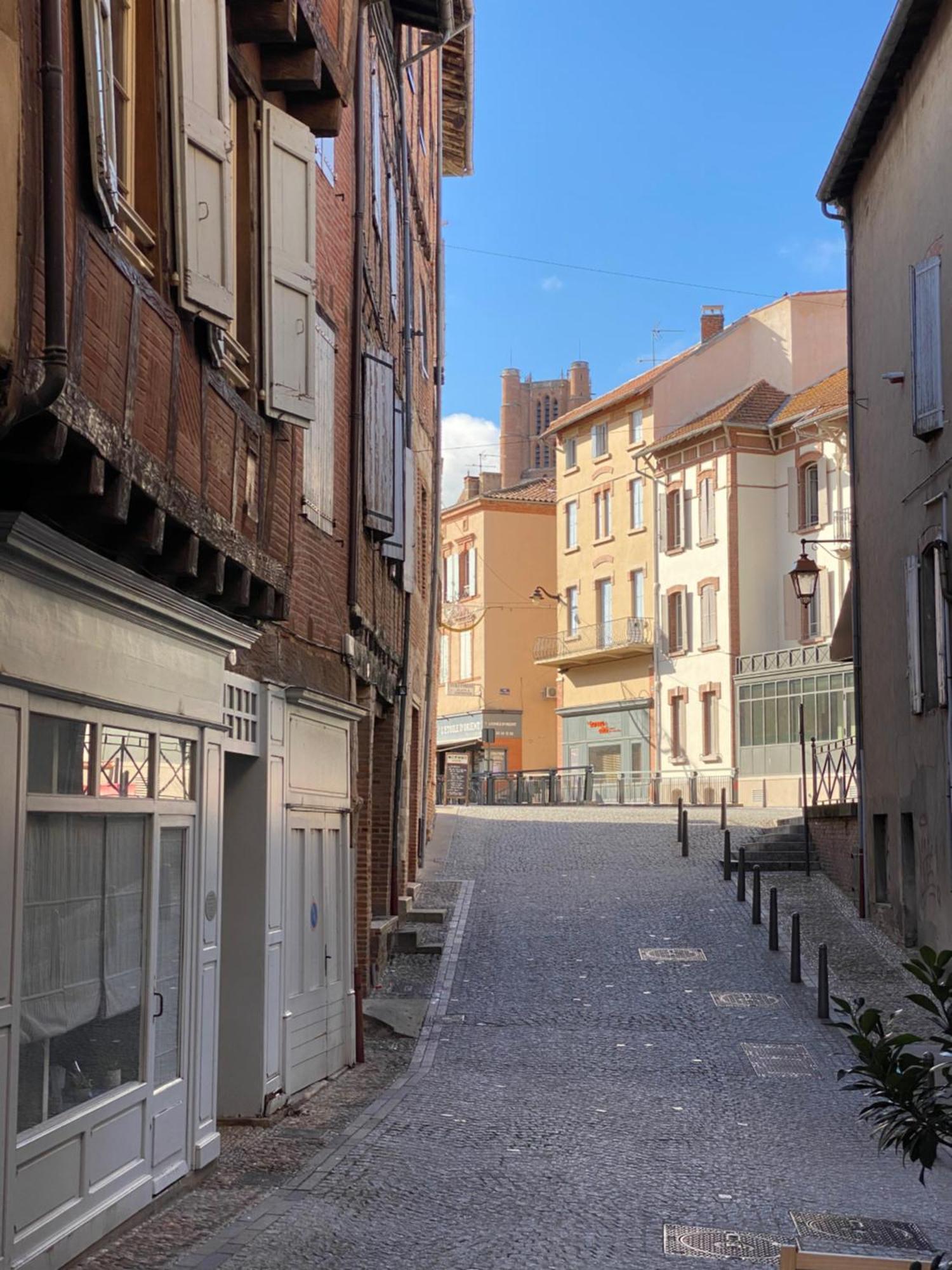 Апартаменты Le Patio St Etienne - Cite Episcopale - Parking Inclus Альби Экстерьер фото